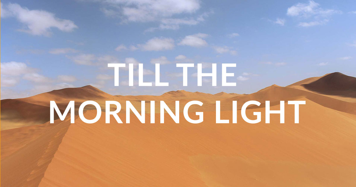 until the morning light song